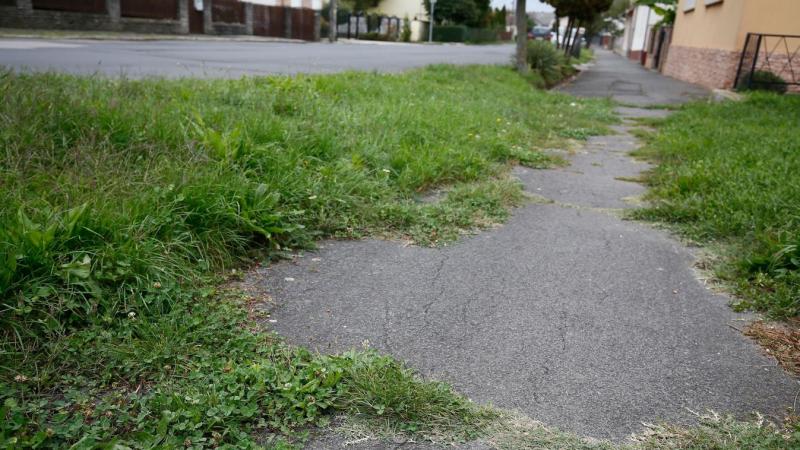 Megdöbbentő helyzeteket észleltünk a zalai város egyik utcájában (galéria, videó)