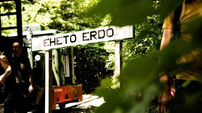 Miskolc: Az Ehető Erdő világsiker küszöbén, Dubajban ünnepelve

A Miskolci Ehető Erdő projekt nemcsak helyi, hanem nemzetközi figyelmet is kapott, hiszen Dubajban ünneplik a kezdeményezést, amely a fenntarthatóság és az ökológiai tudatosság jegyében szüle