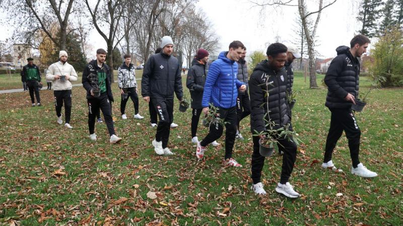 A kosárlabdázók egy különleges kezdeményezés keretében cserjesort ültettek, amely nemcsak a környezetet szépíti, hanem a közösségi összefogást is erősíti. Az esemény során készült fotók és videók megörökítik a csapat lelkesedését és az együtt végzett munk