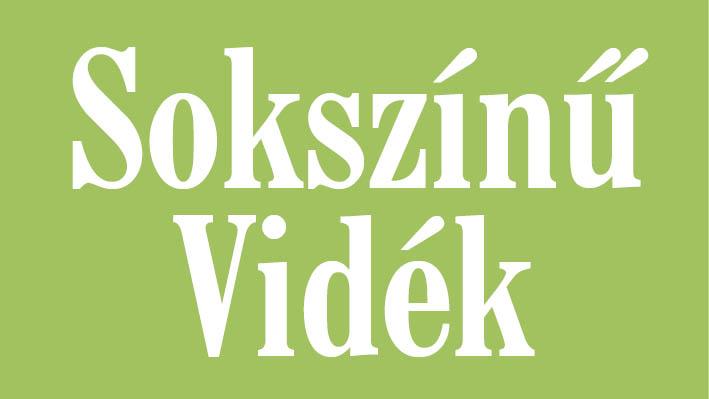 A hónapok neveinek magyarosítása egy különleges és izgalmas vállalkozás volt, amely a kultúránk és nyelvünk gazdagságát hivatott hangsúlyozni. A múltban számos javaslat született arra, hogyan lehetne a hónapokat a magyar nyelv sajátosságaihoz igazítani. 
