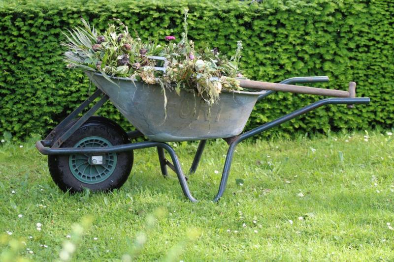 Kertépítés titkai erdélyi szemszögből | Krónika Online

A kertrendezés művészete: Erdélyi nézőpontból