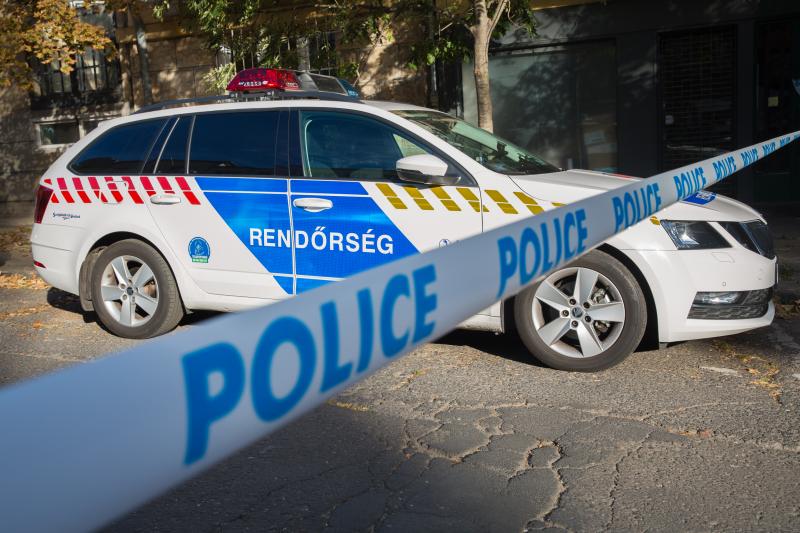 Pilisszentkereszt közelében női holttestre bukkantak a hatóságok. A felfedezés körülményei egyelőre tisztázatlanok, de a rendőrség teljes körű nyomozást indított az ügyben. A helyszínre érkező szakértők megkezdték a vizsgálatokat, hogy kiderítsék a tragéd