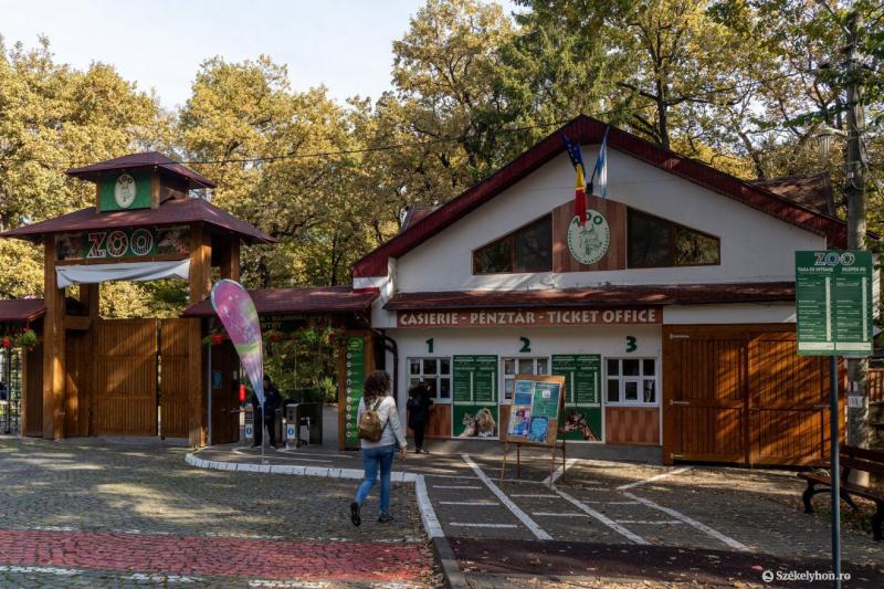 Csalók visszaélnek a Marosvásárhelyi Állatkert nevével | Székelyhon

Marosvásárhelyen egyre több jelzés érkezik arról, hogy csalók próbálnak meg visszaélni az állatkert jó hírnevével. Az illegitim tevékenységek során a csalók különböző módszerekkel próbál