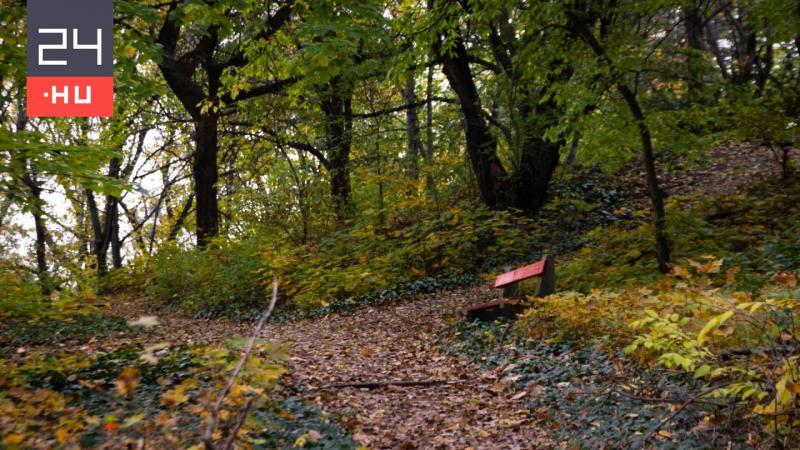 A lehűlés eléri a mélypontját | 24.hu