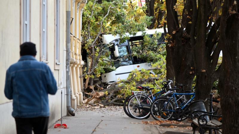 Furcsa és megdöbbentő információk láttak napvilágot a szolnoki buszbalesettel kapcsolatban. A város polgármestere is megszólalt az ügy kapcsán, és elmondta véleményét arról, hogy mi vezethetett a borzalmas tragédiához. A részletek, amelyek eddig napvilágo