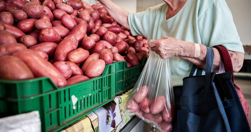 Vészjelzés érkezett: a magyar burgonya eltűnésének jelei mutatkoznak a földeken, és már most külföldi forrásokból szerzik be a termést.