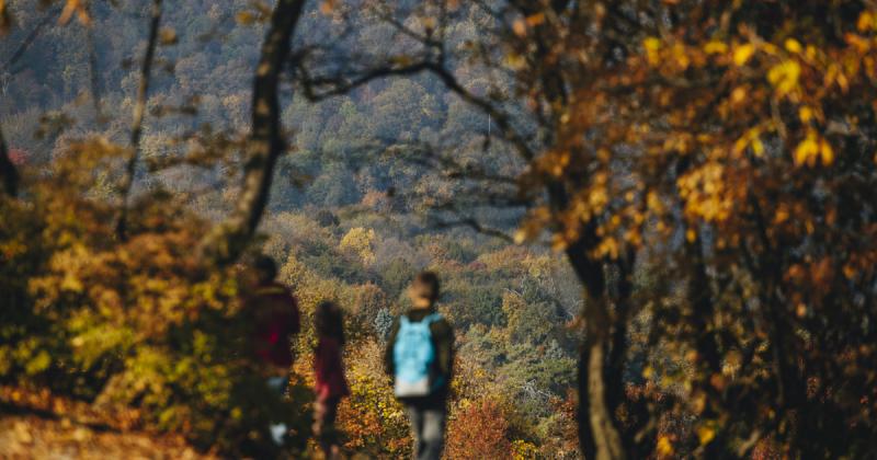 Budapest költséghatékony felfedezése - 10 ingyenes program novemberre

Ha szeretnéd felfedezni Budapest varázslatos világát anélkül, hogy a pénztárcádra nagy terhet rónál, akkor jó helyen jársz! Novemberben is számos lehetőség vár rád, hogy élvezhesd a fő