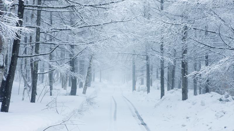 A hópelyhek lassan hullani kezdtek, és szinte varázsütésre Budapest környéki turistaparadicsom egy jégkirálysággá változott, ahol a varázslatos táj mögött káosz lappangott.